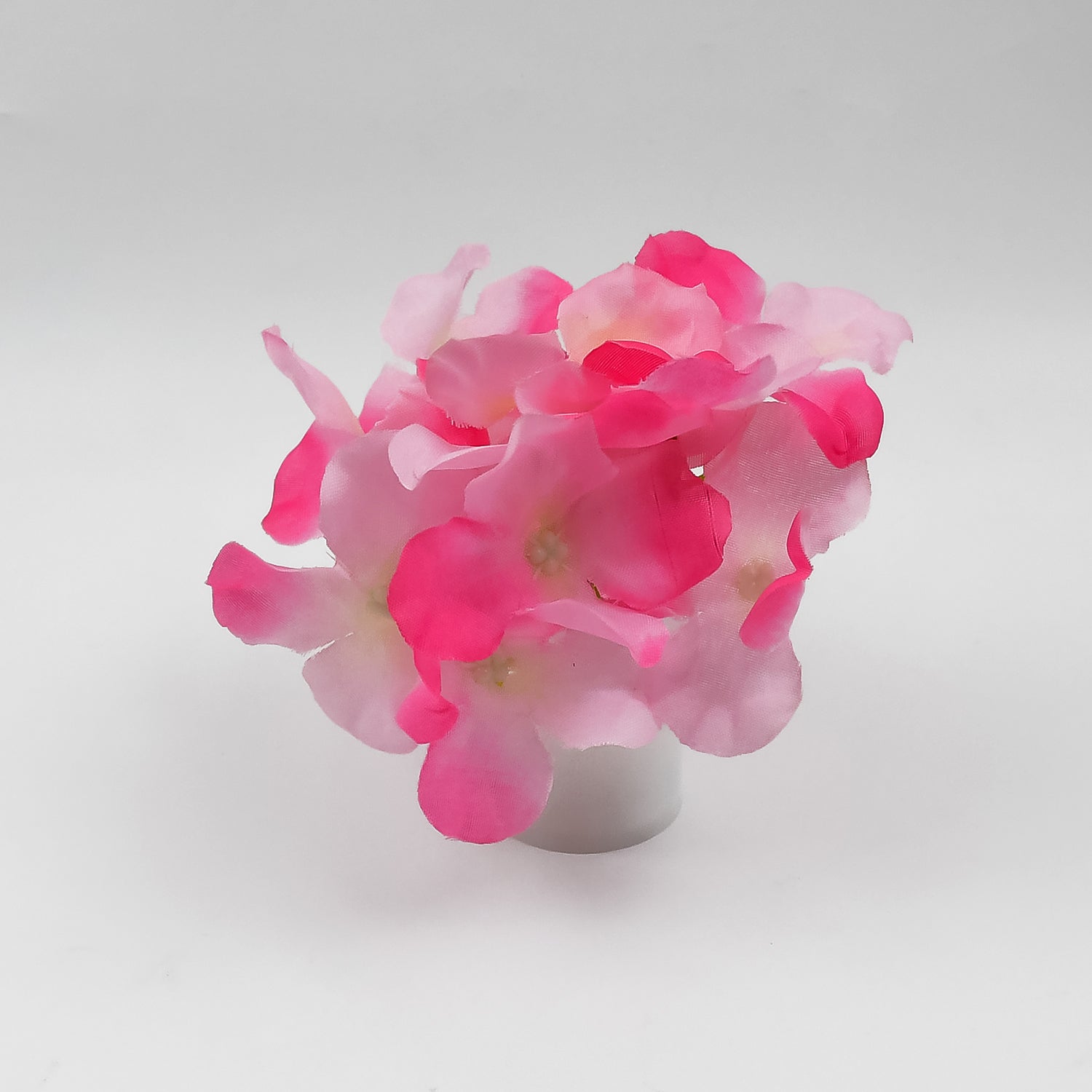 BlossomGlow light BlossomGlow light